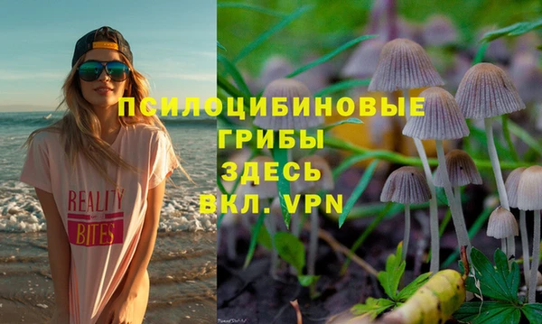 кокс Баксан