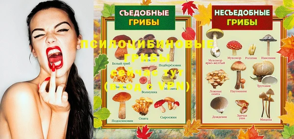кокс Баксан