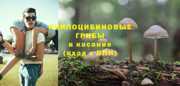 кокс Баксан