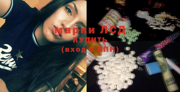 прущие грибы Корсаков