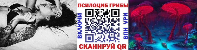 купить   kraken tor  Псилоцибиновые грибы мухоморы  shop телеграм  Арск 